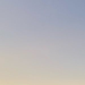 Meet your Posher, Alayna